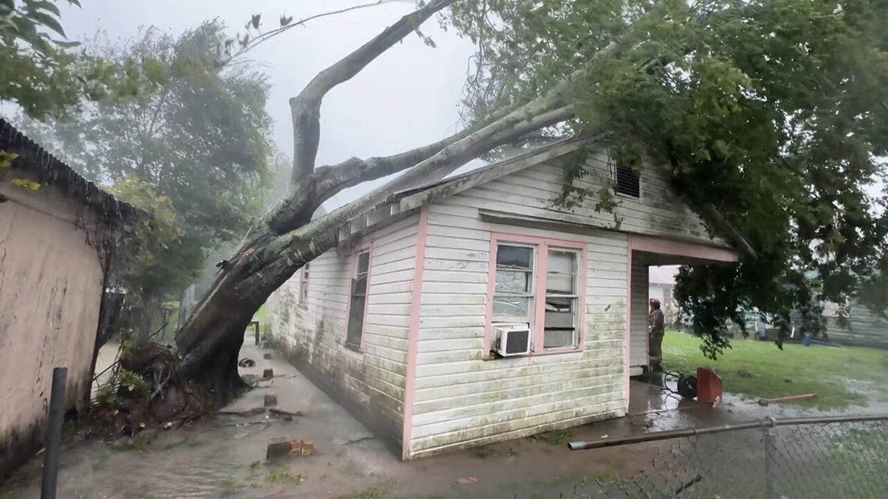 Morgan City family rescued by firefighters after tree falls on home during Hurricane Francine